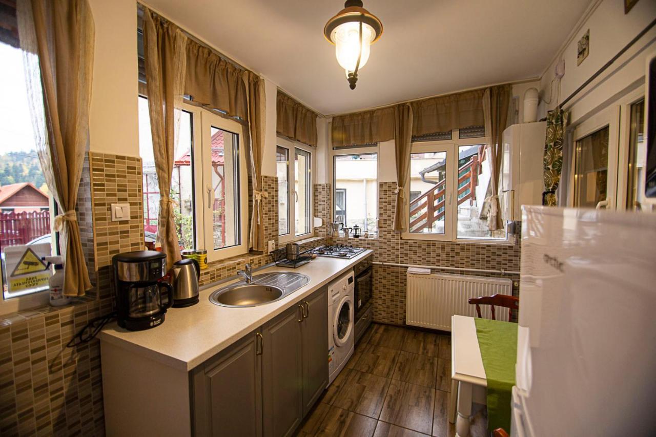 Casa Sara Apartment Sinaia Ngoại thất bức ảnh