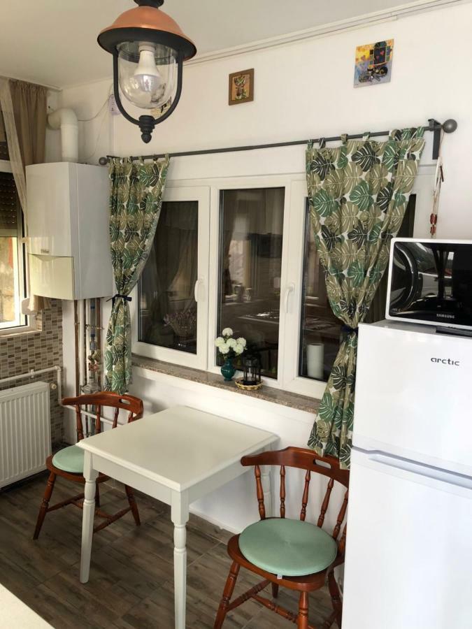 Casa Sara Apartment Sinaia Ngoại thất bức ảnh